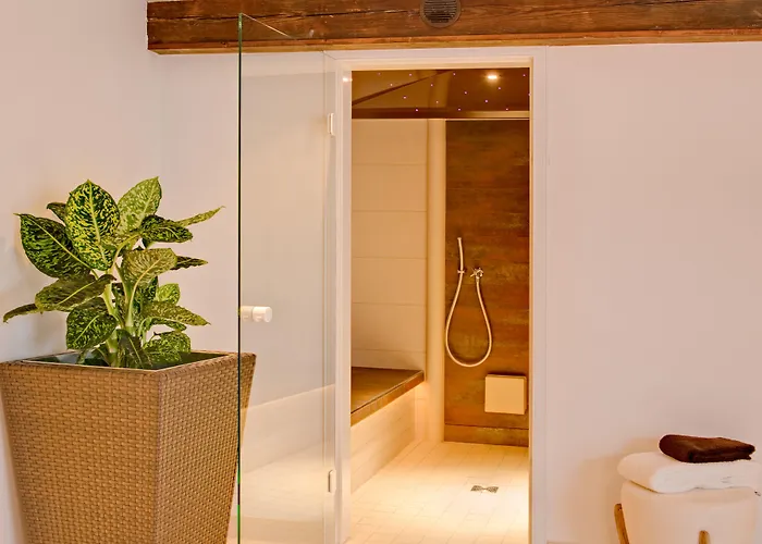 Apartament Alex Private Luxury